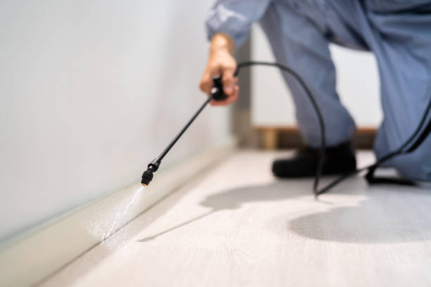 Bed Bug Pre-Treatment Preparation Assessment in Trooper