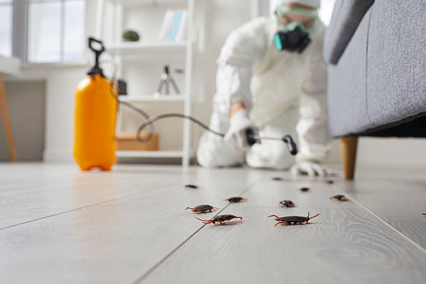 Post-Treatment Bed Bug Interceptor Monitoring in Trooper