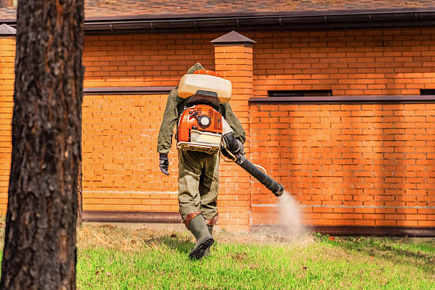 Bed Bug Clearance Verification and Documentation in Trooper